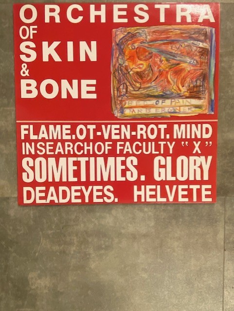 ORCHESTRA OF SKIN AND BONE: S/T