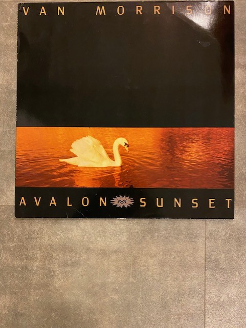 VAN MORRISON: Avalon sunset