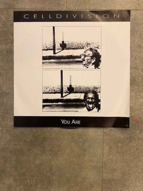 CELLDIVISION: 7"  You are / The key to your life