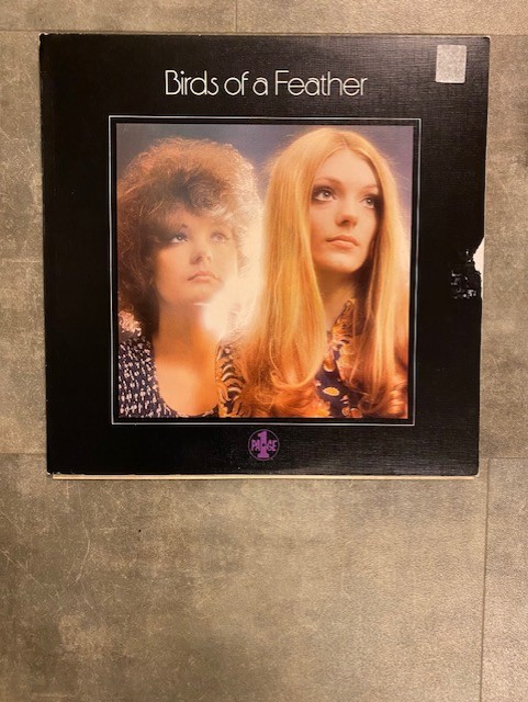 BIRDS OF A FEATHER - S/T